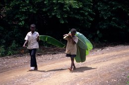Archipel-des-Comores;-Enfants;-Feuilles-de-bananier;-Forêt;-France;-Garçons;-Kaleidos;-Kaleidos-images;-La-parole-à-limage;-Laurent-Abad;-Mayotte;-Océan-Indien;-Piste;-Stories-Pictures;-Vie-quotidienne